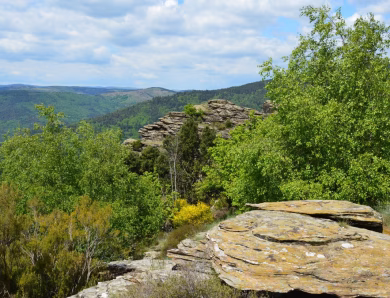 Découvrez les trésors cachés des Cévennes : écotourisme et gîtes ruraux