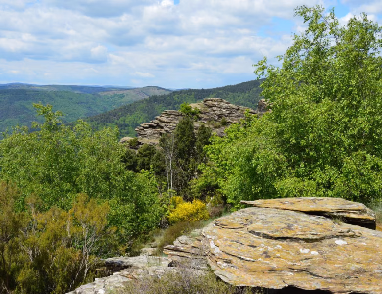 Découvrez les trésors cachés des Cévennes : écotourisme et gîtes ruraux