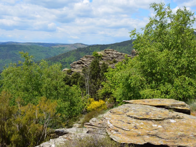 Découvrez les trésors cachés des Cévennes : écotourisme et gîtes ruraux