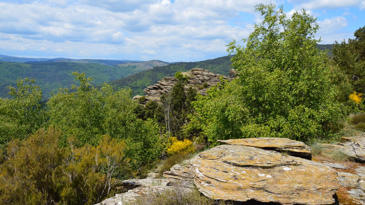 Découvrez les trésors cachés des Cévennes : écotourisme et gîtes ruraux