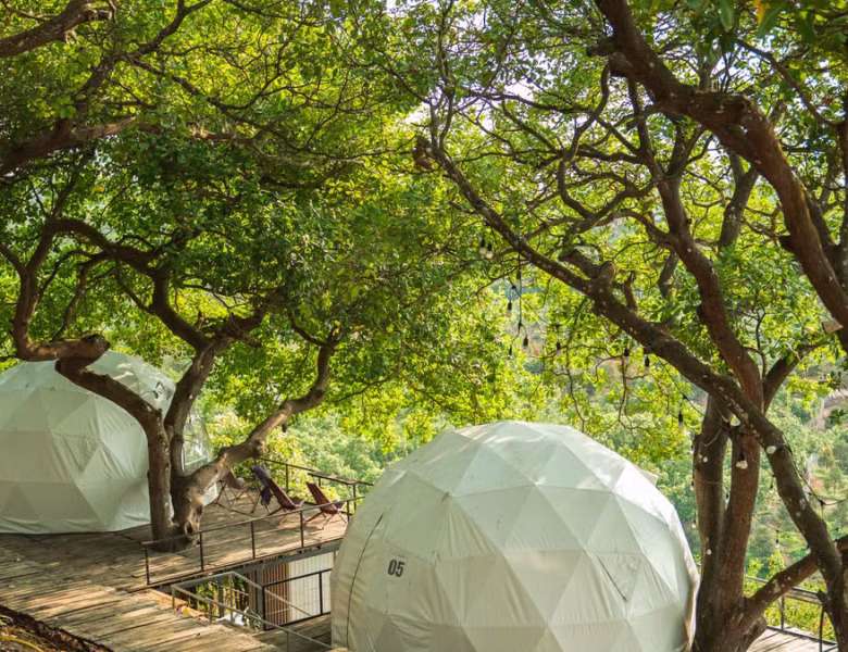 Glamping 2026 : séjourner en luxe au cœur de la nature